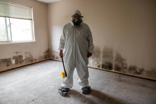 Certified Mold Removal in Grand Forks, ND